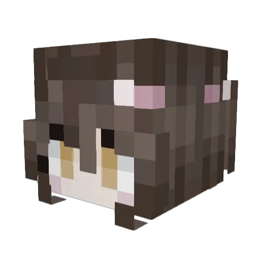 misris Minecraft avatar head, 3D render