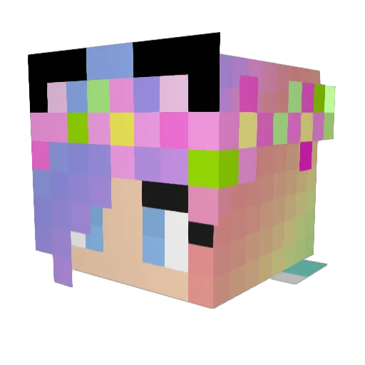 miss_erin Minecraft avatar head, 3D render