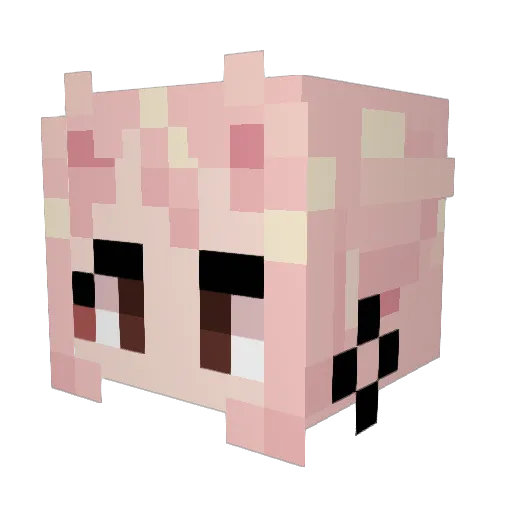 missandydandy Minecraft avatar head, 3D render