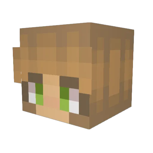 missiles17 Minecraft avatar head, 3D render