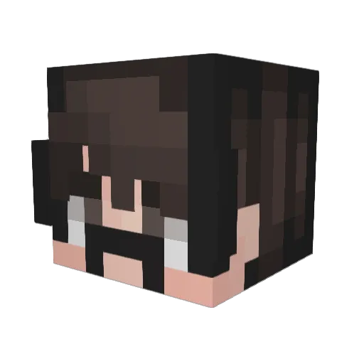 missingno11 Minecraft avatar head, 3D render