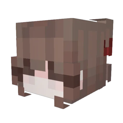 missingnoemi Minecraft avatar head, 3D render