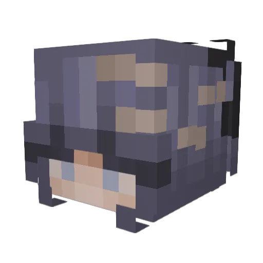 missiwissi Minecraft avatar head, 3D render
