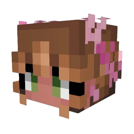 misslipgloss Minecraft avatar head, 3D render