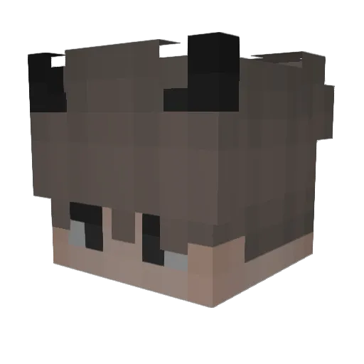 misslungen Minecraft avatar head, 3D render