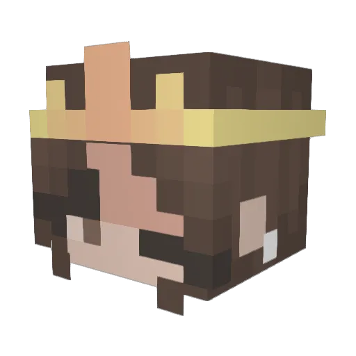 missmadalyn Minecraft avatar head, 3D render