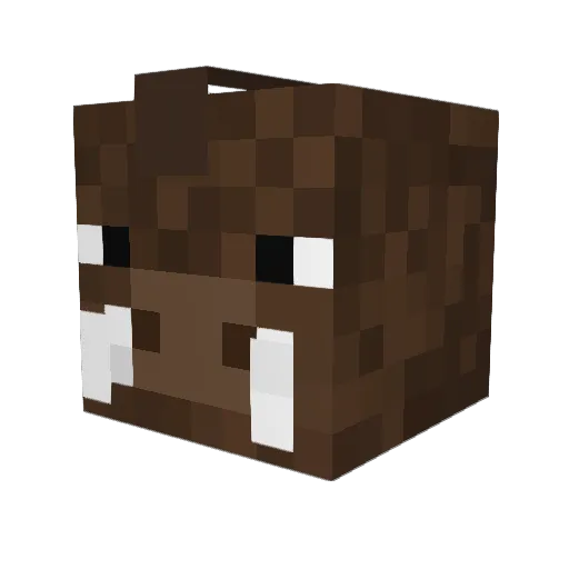missmicha2001 Minecraft avatar head, 3D render