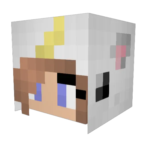 missunicorn123 Minecraft avatar head, 3D render