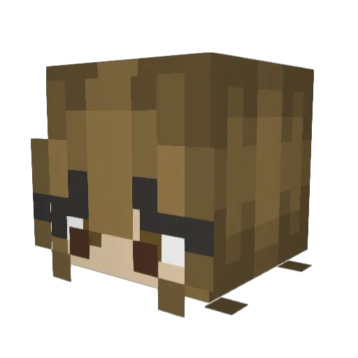 misswaguri Minecraft avatar head, 3D render