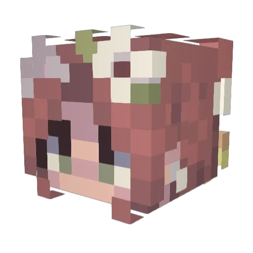 mister_gray1738 Minecraft avatar head, 3D render