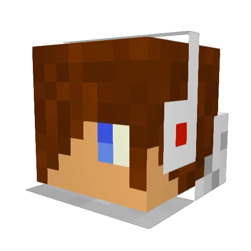 misterbanjo Minecraft avatar head, 3D render