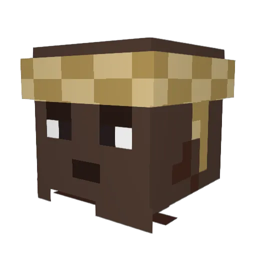 misterjaxxon Minecraft avatar head, 3D render