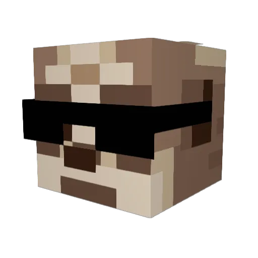 mistermeerkat Minecraft avatar head, 3D render