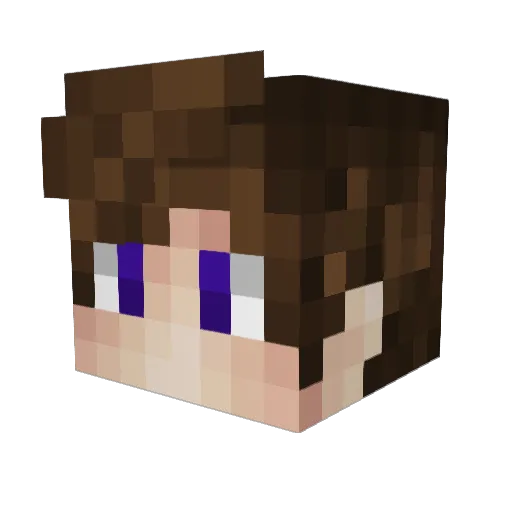 misterpollo97 Minecraft avatar head, 3D render