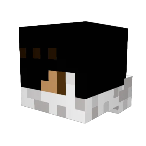 misterroh Minecraft avatar head, 3D render