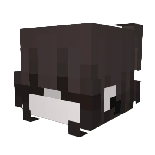misters__pug Minecraft avatar head, 3D render