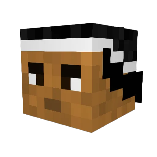 mistrz_mason Minecraft avatar head, 3D render