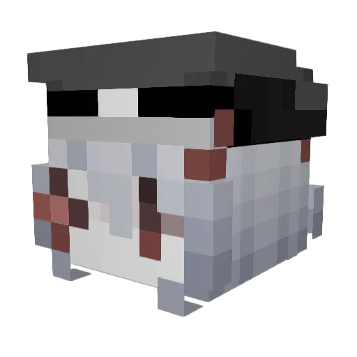 mistwisp Minecraft avatar head, 3D render