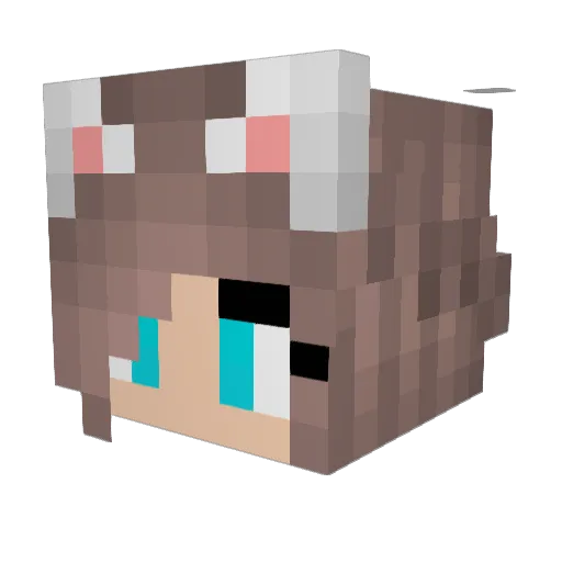 mistymoonpie Minecraft avatar head, 3D render