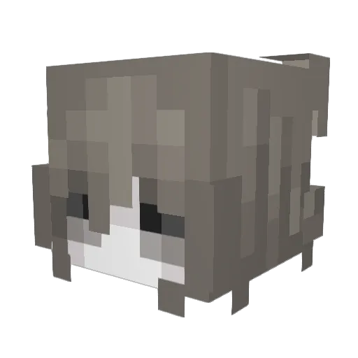 mitalssa Minecraft avatar head, 3D render