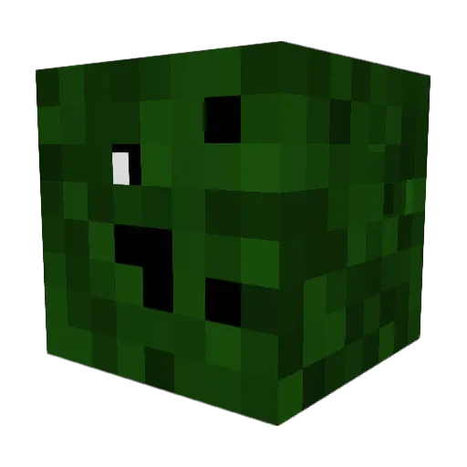 mitchell14311 Minecraft avatar head, 3D render