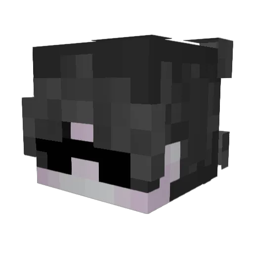 mitchell_k Minecraft avatar head, 3D render