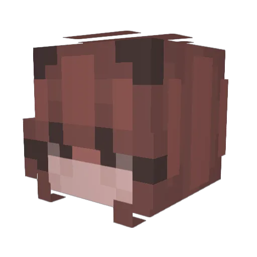 mitchellpritchet Minecraft avatar head, 3D render