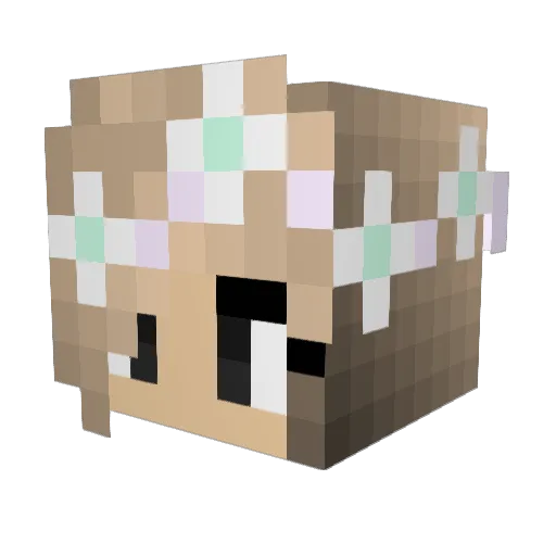 mitiemon Minecraft avatar head, 3D render