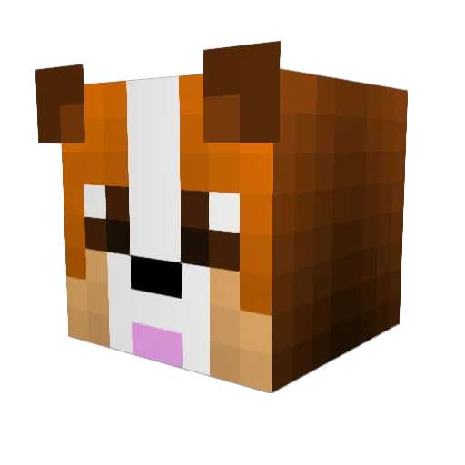 mitmproxy Minecraft avatar head, 3D render
