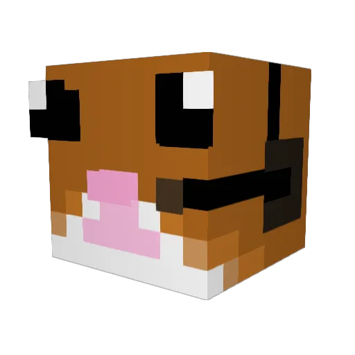 mittymitty2248 Minecraft avatar head, 3D render