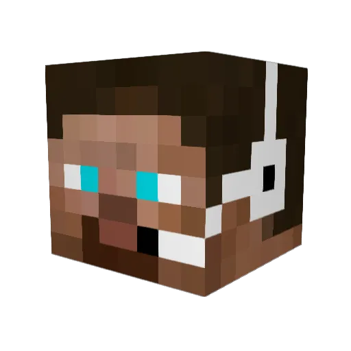 mixbooz Minecraft avatar head, 3D render