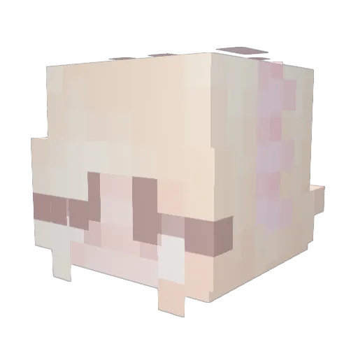 mizwre Minecraft avatar head, 3D render