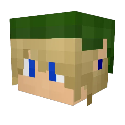 mjg1229 Minecraft avatar head, 3D render
