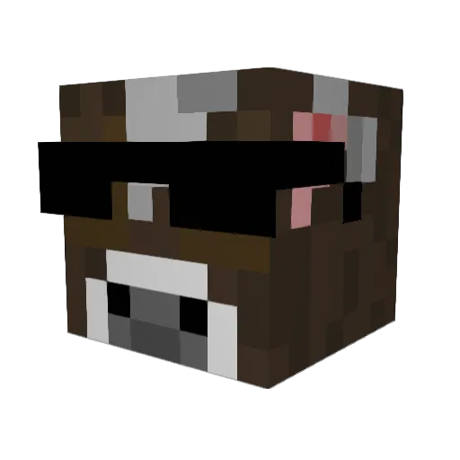 mjn211 Minecraft avatar head, 3D render