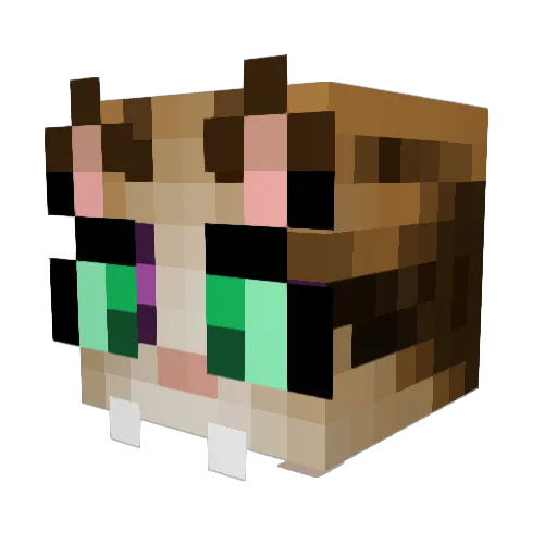 mjoller Minecraft avatar head, 3D render