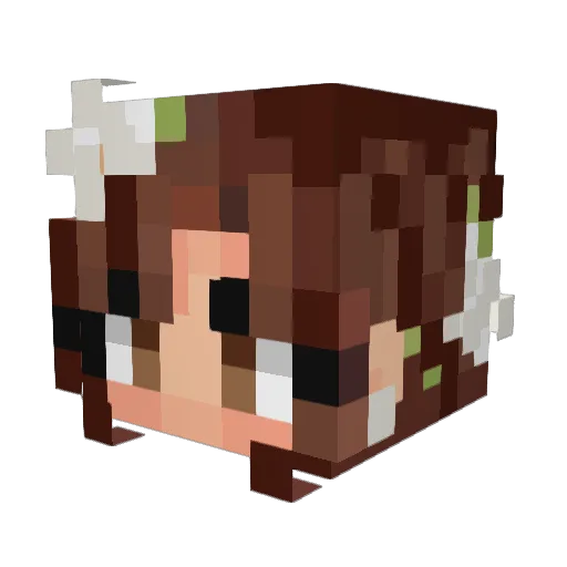 mjsong05 Minecraft avatar head, 3D render