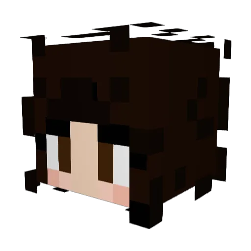 mk8 Minecraft avatar head, 3D render
