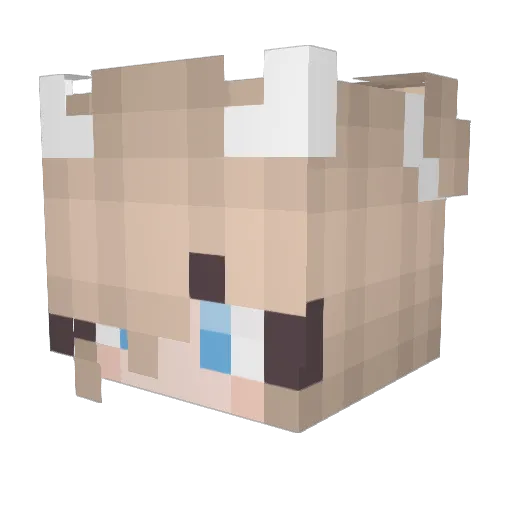 mkala0820 Minecraft avatar head, 3D render