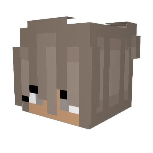 mkboooo Minecraft avatar head, 3D render