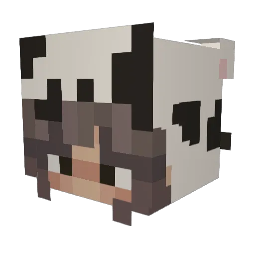 mklovesloona Minecraft avatar head, 3D render