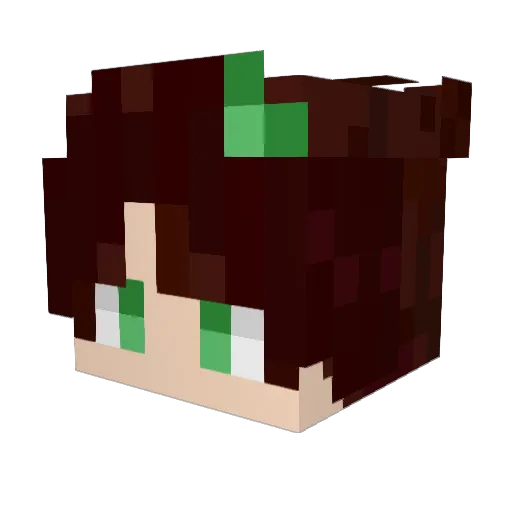 mkunk2808 Minecraft avatar head, 3D render