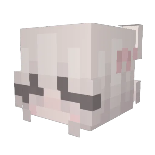 mkwssu Minecraft avatar head, 3D render