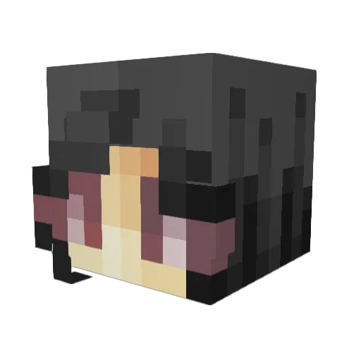 mlg7342 Minecraft avatar head, 3D render