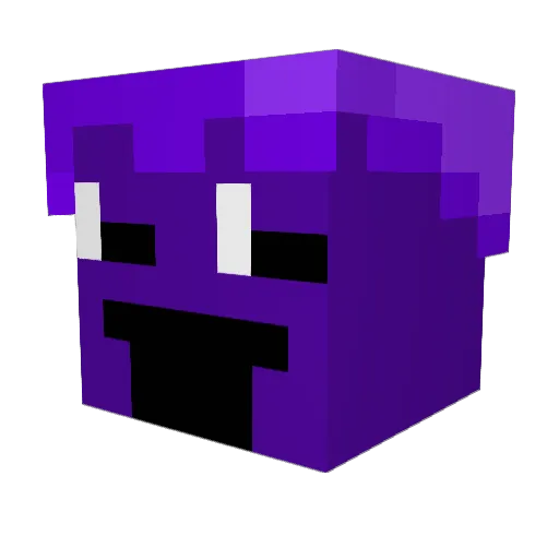 mlgboi555 Minecraft avatar head, 3D render