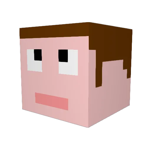 mlgcain Minecraft avatar head, 3D render