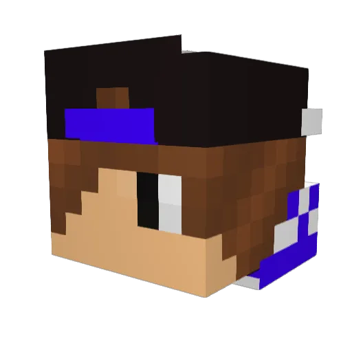 mlgminecraftboss Minecraft avatar head, 3D render