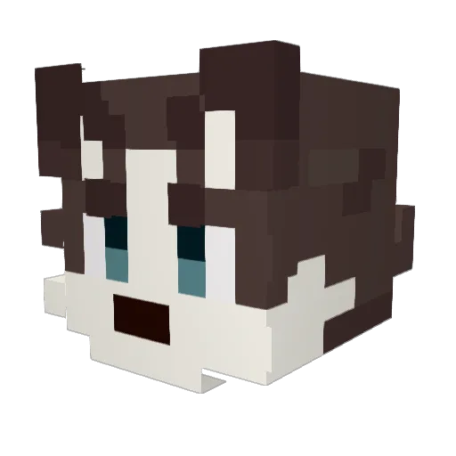 mlgpp Minecraft avatar head, 3D render