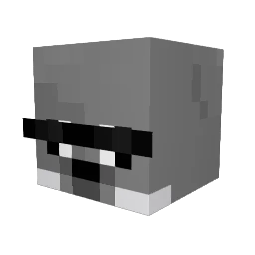 mlgsealpro Minecraft avatar head, 3D render