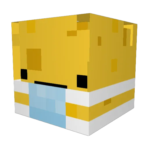 mlm9 Minecraft avatar head, 3D render
