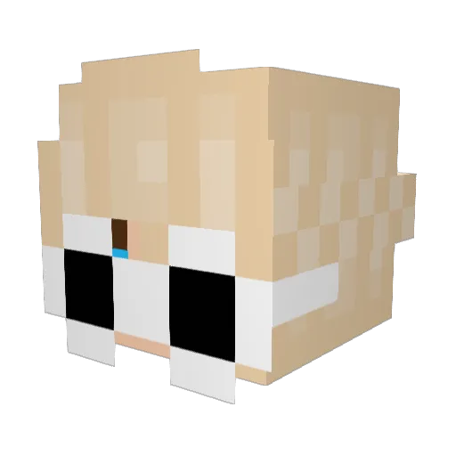 mmaiczek Minecraft avatar head, 3D render